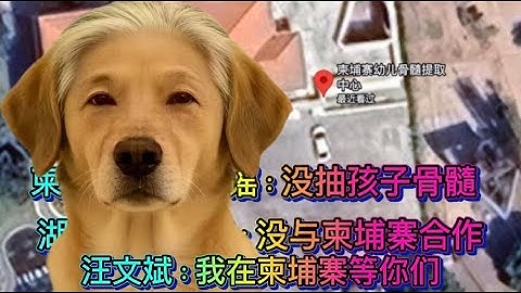 25/12/21直播：柬埔寨生产婴儿干细胞产业曝光；月薪四万欧元能收买几条油管博主？