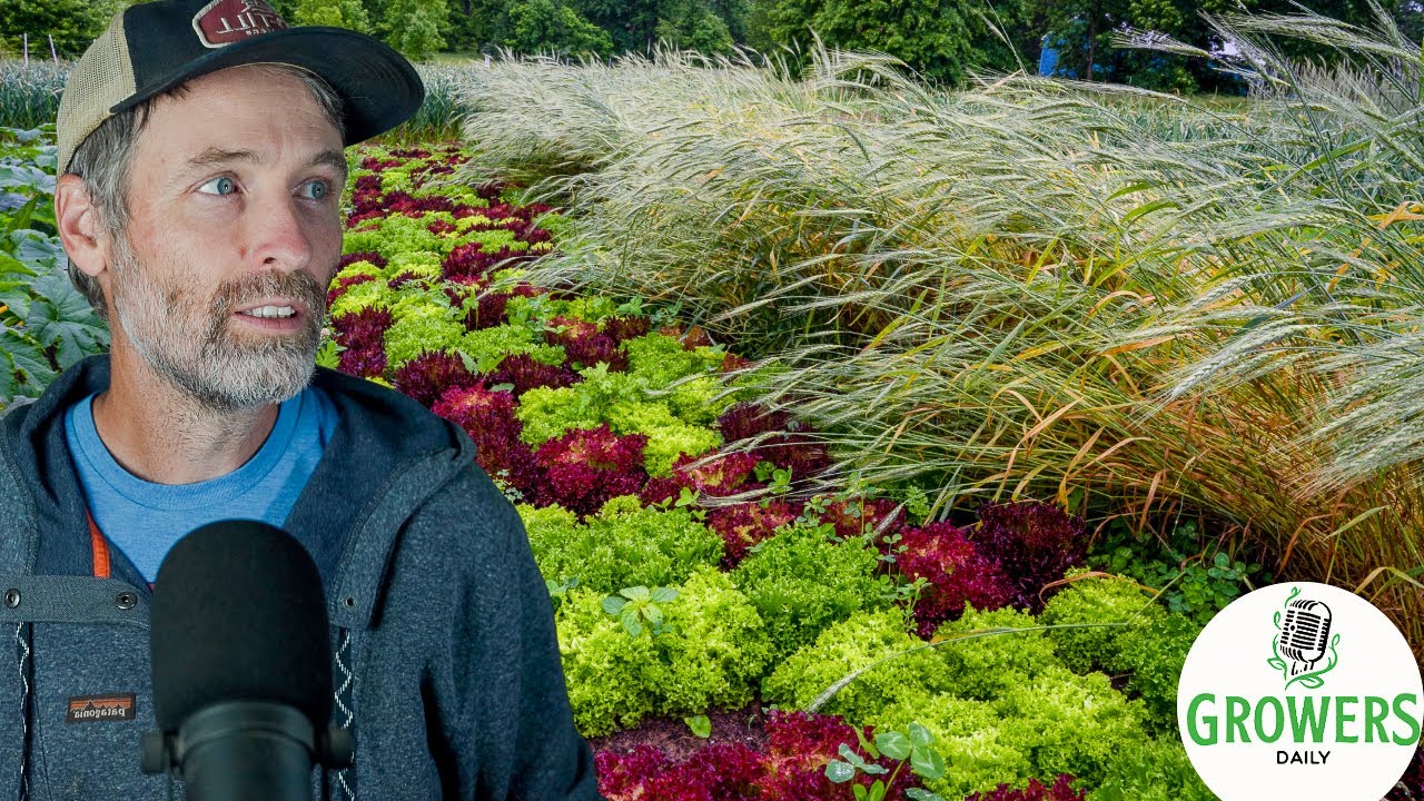 Cover Crops Gone Wild + Why Farming is Puzzling
