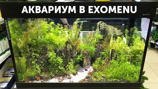 Аквариум в супермаркете EXOMENU в Санкт-Петербурге Аквариум в супермаркете EXOMENU в Санкт-Петербурге
