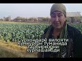 Сурхондарё вилояти Кумкургон туманидаги адолатсизлик