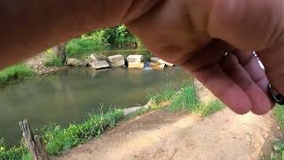 10 pound rainbow trout caught at Cedar Springs small stream