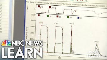 Solving the Mystery of Saltair Sally