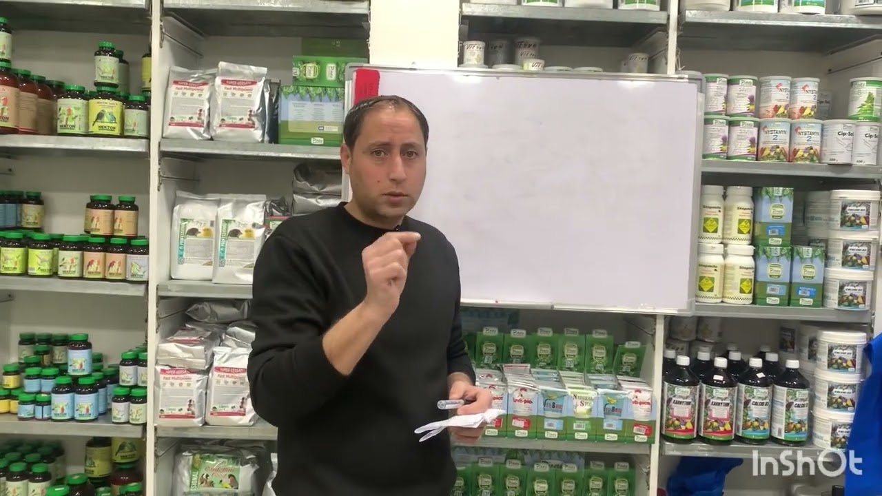 علاج مشكلة الرطوبة عند طيور الزينة