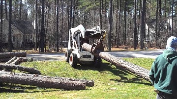 Loading logs with Bobcat S300 grapple attachment - Tree Service in Raleigh, Wake Forest, NC