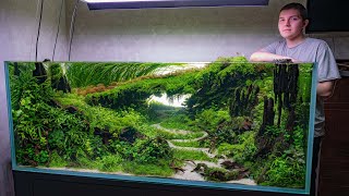 видео: IAPLC 2025 rank 149 | Aquascape 138 cm setup | Акваскейп 138 см, поэтапное формирование картинка: IAPLC 2025 rank 149 | Aquascape 138 cm setup | Акваскейп 138 см, поэтапное формирование