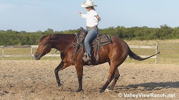 Teles Sumpin - riding bridleless! - ValleyViewRanch.net