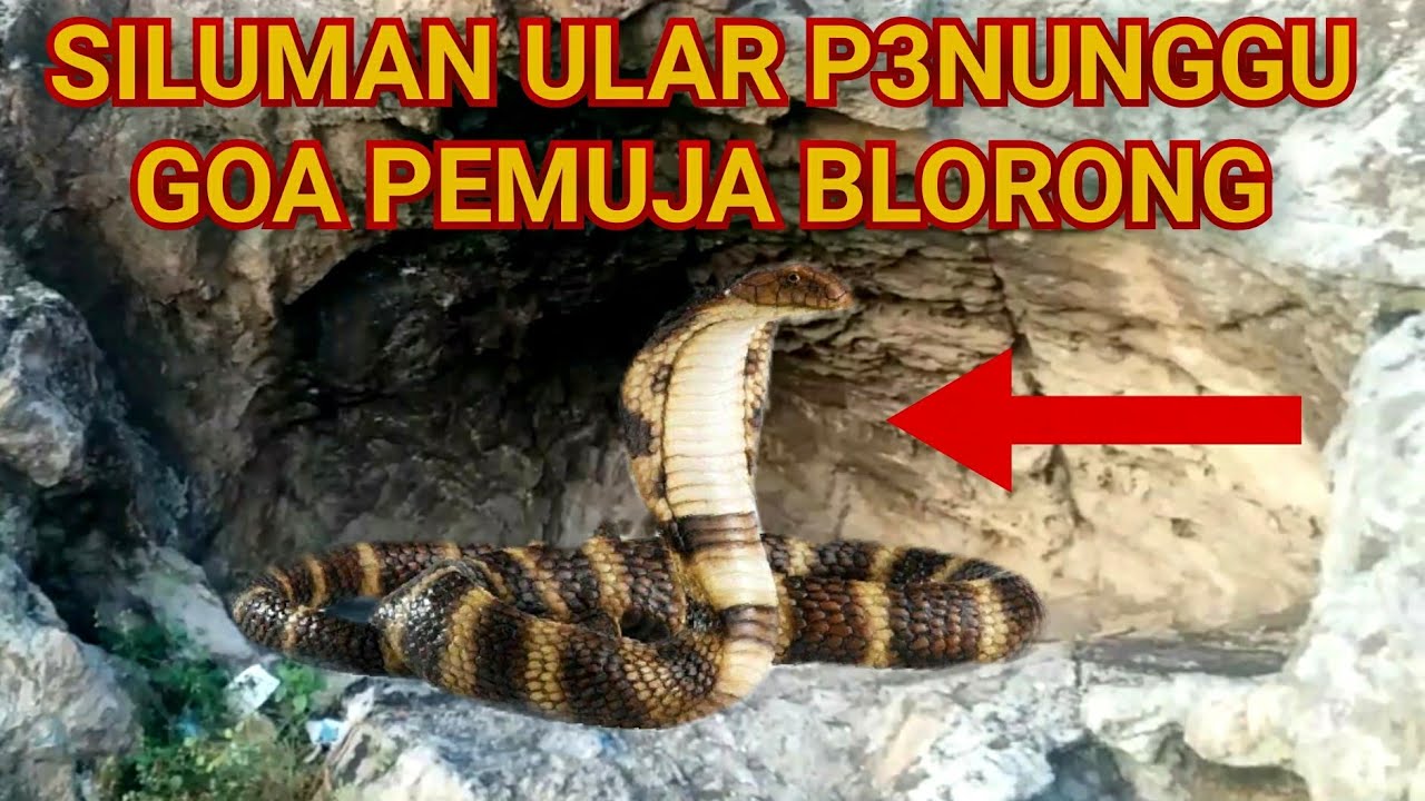 Ular Skype-da jim bolib, boshqalarning jinniliklarini korishadi. Ular Skype-da jim bolib, boshqalarning jinniliklarini korishadi.