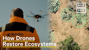 Drones Plant Trees and Collect Data to Restore Biodiversity