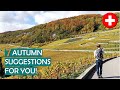 Things to do in SWITZERLAND this AUTUMN