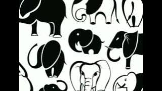 Swimming Elephant Band - At The Zoo  [MUSIK INDIE FOLK INDONESIA]