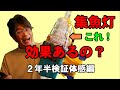 【アジング】集魚灯は効果あるのか？２年半検証した結果！実は●●の時は効果的で・・・■■の時は効果が少ない（今回は体感編です）