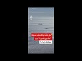 هل تنف ذ واشنطن عملية مشروع الحرية في مضيق هرمز دون موافقة إيران خبير عسكري يجيب