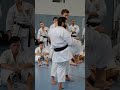 Karate training technique mae geri karatetraining shorts viral sports jkakarate fight