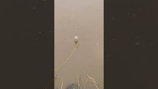 new trick and hacks #shorts #tech #art #craft