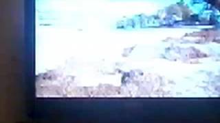 Clip Of Raising Hope Sabrina Mad About Aorbor Day