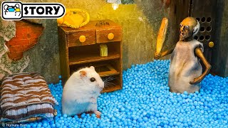 Hamster vs Granny in the Scary House for Halloween  Homura Ham Pets