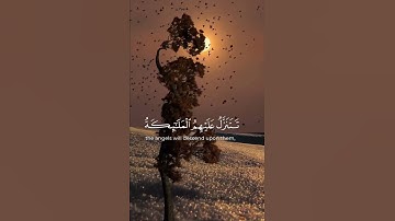 قرآن كريم بصوت جميل #قران_كريم #اكسبلور #المصحف #quran #راحة_نفسية