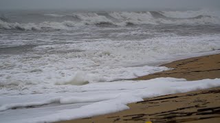 horse tours in the outer banks