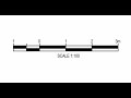 AutoCAD Scale Bar Dynamic Block with Dropdown Menu | Step-by-Step Tutorial