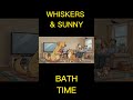 WHISKERS & SUNNY BATH TIME DOGS AND CAT CARTOON VIDEO LTX 2.3 #SHORT