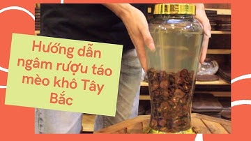 Hướng Dẫn Ngâm Rượu Táo Mèo Khô Tây Bắc