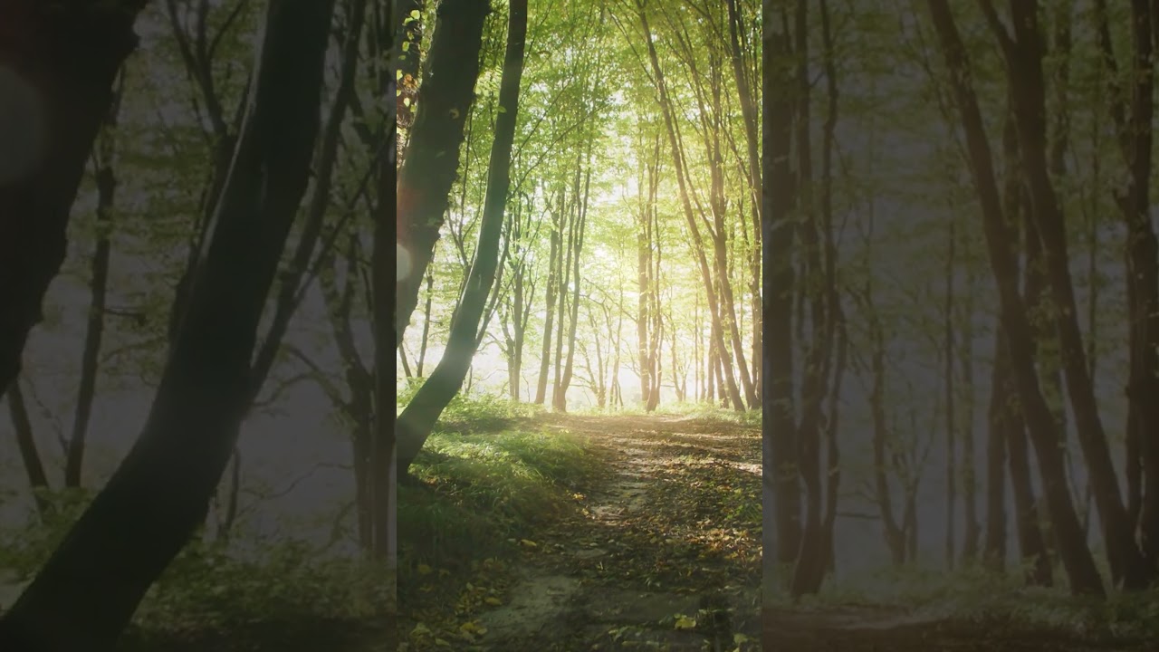 LAGOM Collection. Cevisama 2024