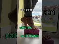 Супер комплекс для стоп🔥🔥🔥 всегда найдется 5 минут, эффект почувствуешь сразу после выполнения🔥