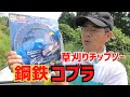 草刈りチップソー｜石に強いデカチップ！「コブラ」本当に強いのか？