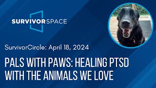 Pals with Paws: Healing PTSD with the Animals We Love by Zero Abuse Project 157 views 4 weeks ago 48 minutes