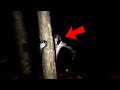 Top 5 Scary Videos That Are Unexplained