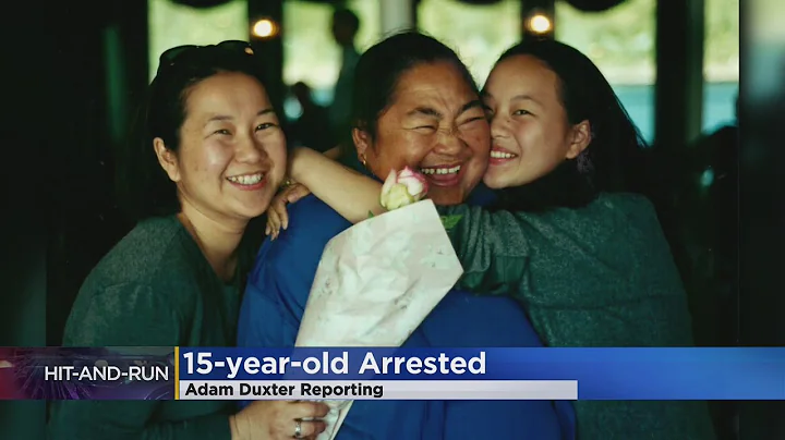 Teen charged in St. Paul hit-and-run that killed P...