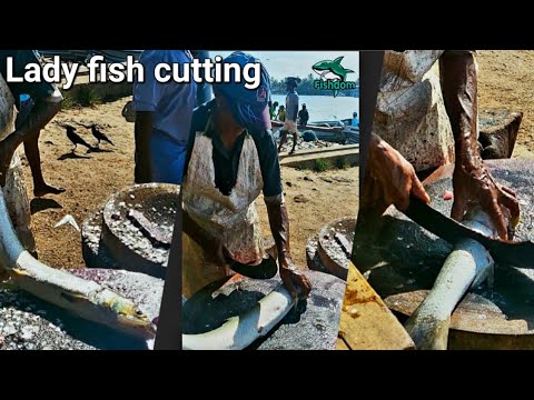 Amazing ! Massive Lady fish cutting and chopping skills in Sri