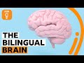 Why being bilingual is good for your brain | BBC Ideas