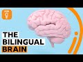 Benefits and Implications of Bilingualism