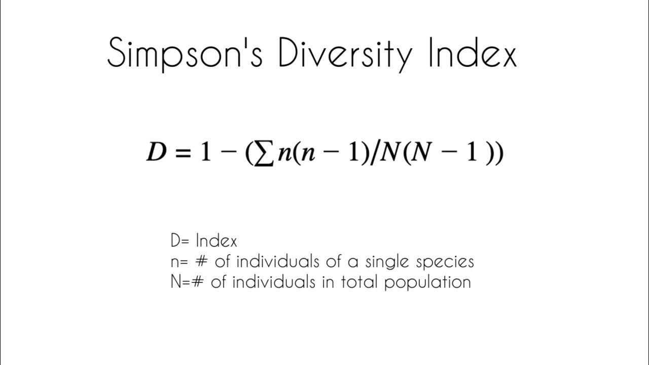 How to Use Simpson's Diversity Index 