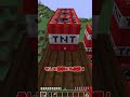 霊夢とネコの感動ストーリー【マイクラ】#shorts