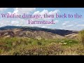 EX PAT LIFE IN ABRUZZO. A look at the wild fire damage and a visit to the farmstead.