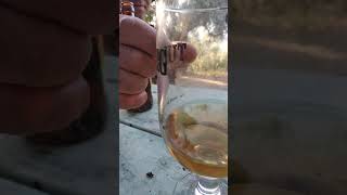 Sinekli Bira Muhabbeti