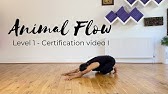 Animal Flow 30-Minute Beginner Level Class - YouTube