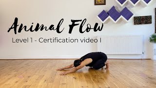 Animal Flow Level 1  Certification Video I