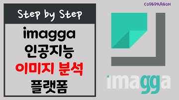 imagga 인공지능 이미지 분석 플랫폼 (ft. 사진 태그 키워드 추출)