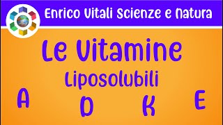 Le vitamine liposolubili: A,D,E,K. Ruolo biologico ed alimentare. Carenze vitaminiche. Video in 4K!