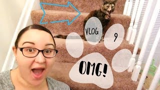 NO MORE CONE HEAD!!! | VLOG #9 by DomiLove 47 views 5 years ago 12 minutes, 52 seconds