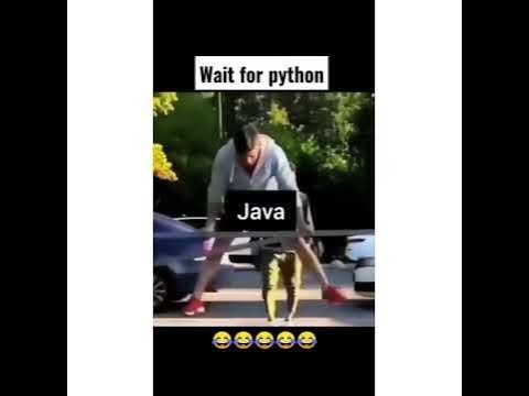 python ruby html c c++ programming language memes funny - YouTube