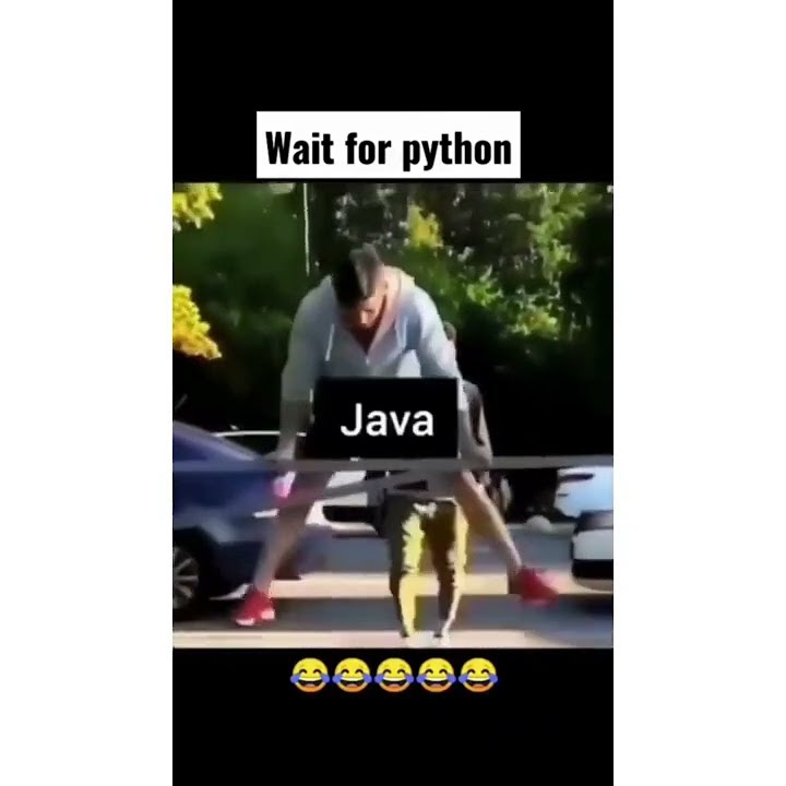 python ruby html c c++ programming language memes funny - YouTube