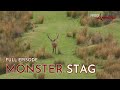 NEW ZEALAND RED STAG & ARAPAWA RAM HIT THE DIRT! I Red Arrow I Full Episode