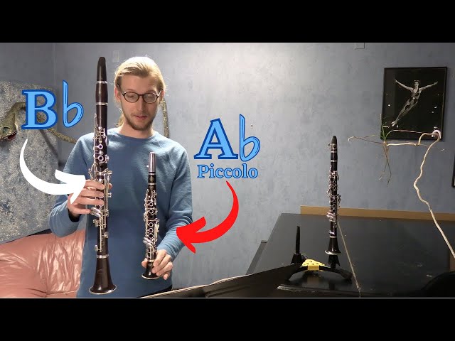 The Adorable Ab Piccolo Clarinet - YouTube