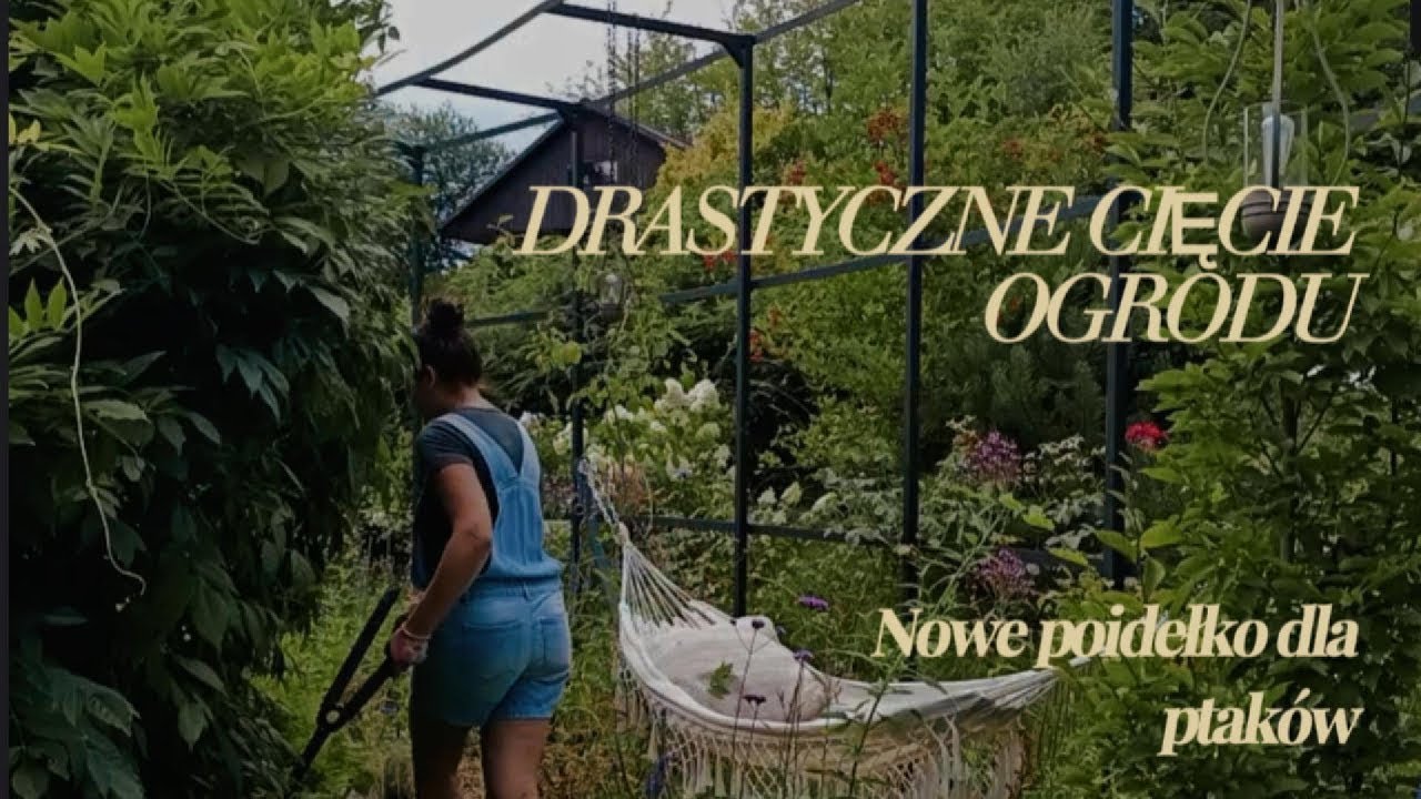 Nowe poidełko do ogrodu. LETNIE CIĘCIE W OGRODZIE- RÓŻE, GLICYNIA, LAWENDA