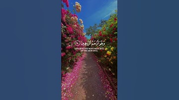 فالله خير حافظا وهو أرحم الراحمين [يوسف: 64] القارئ #سالم_الرويلي