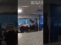 Hjort tog sig in på bank